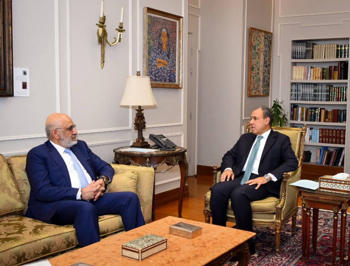 وزير الخارجية المصري