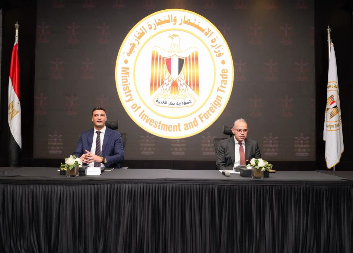 الحكومة المصرية