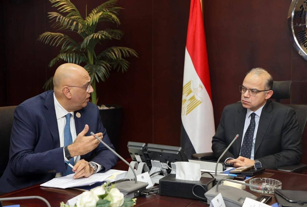 تنمية المشروعات