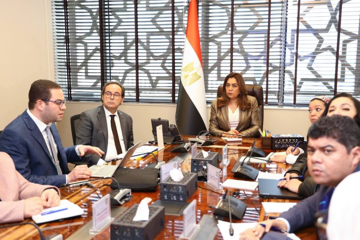 الحكومة المصرية