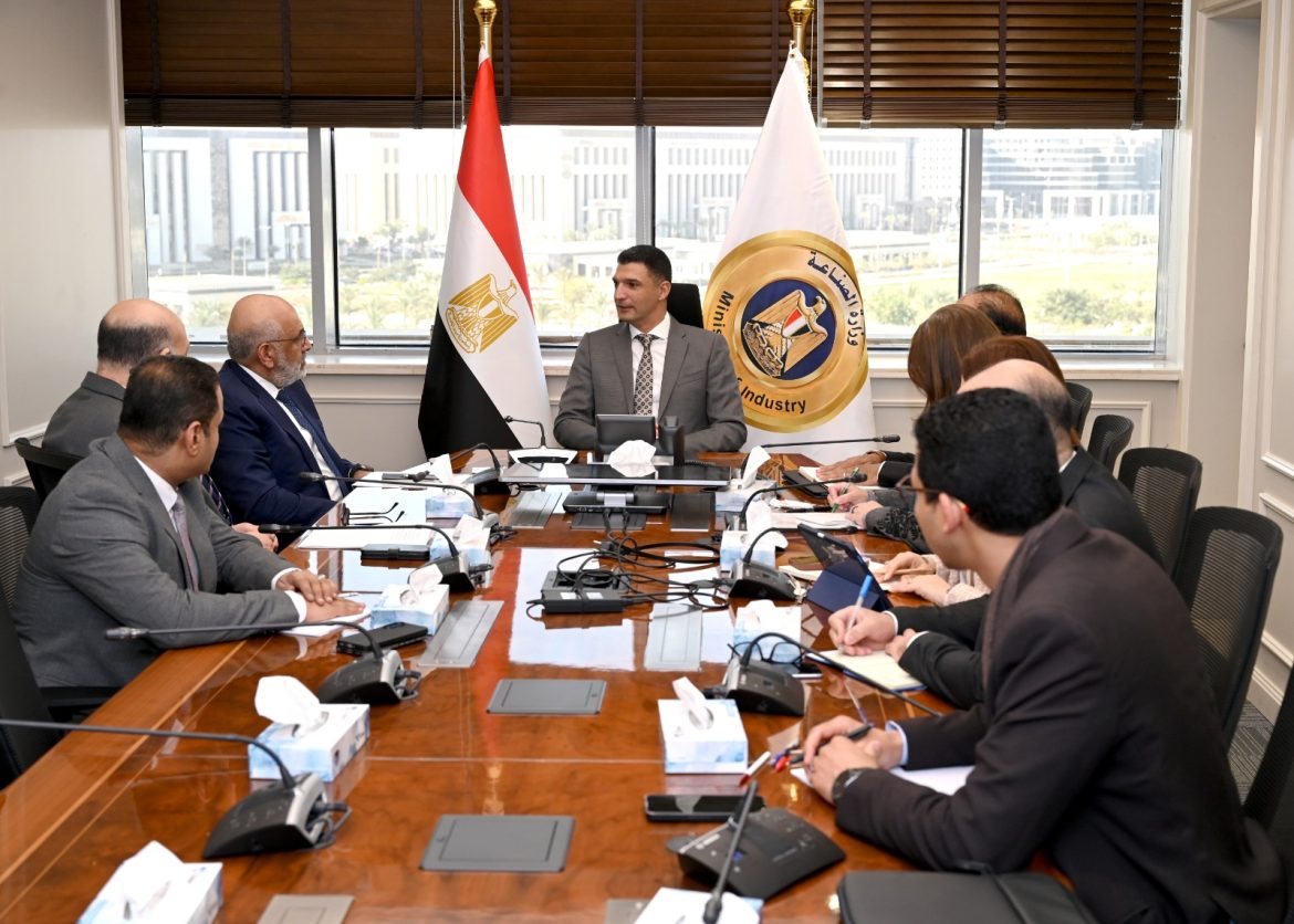 الحكومة المصرية