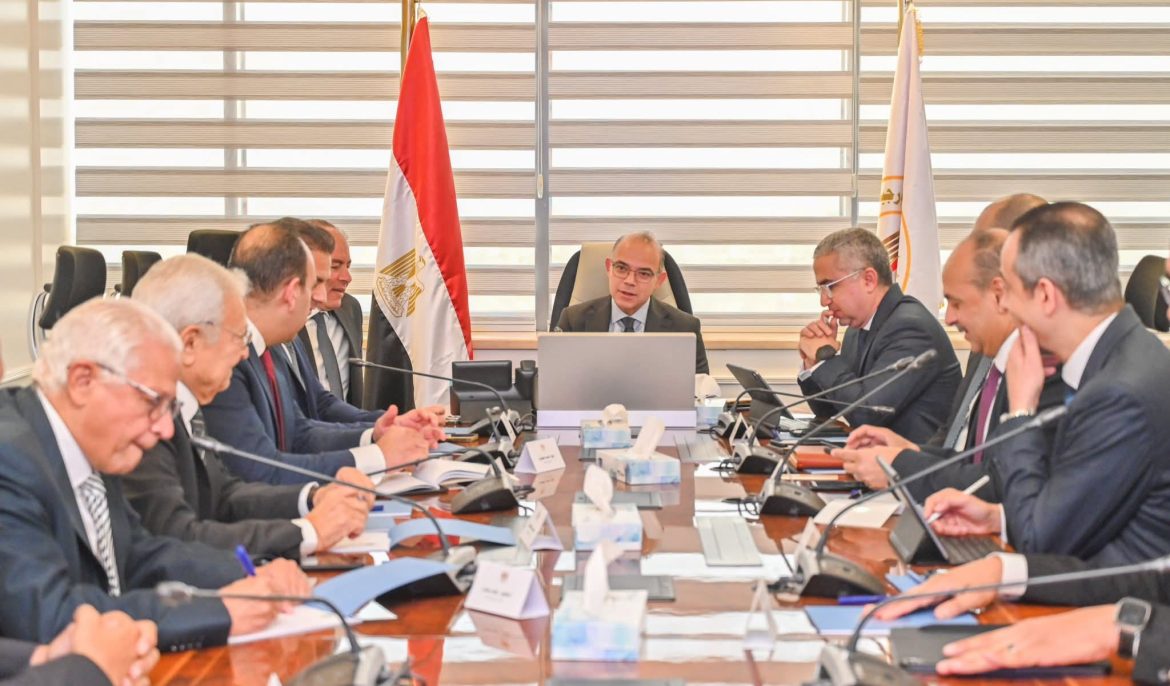 الحكومة المصرية