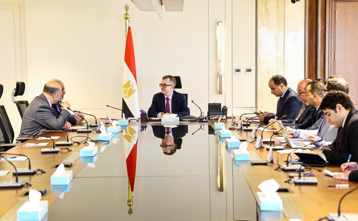 الحكومة المصرية