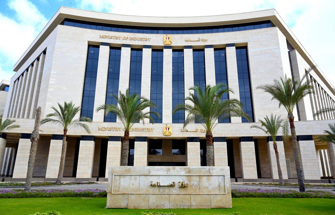 الحكومة المصرية