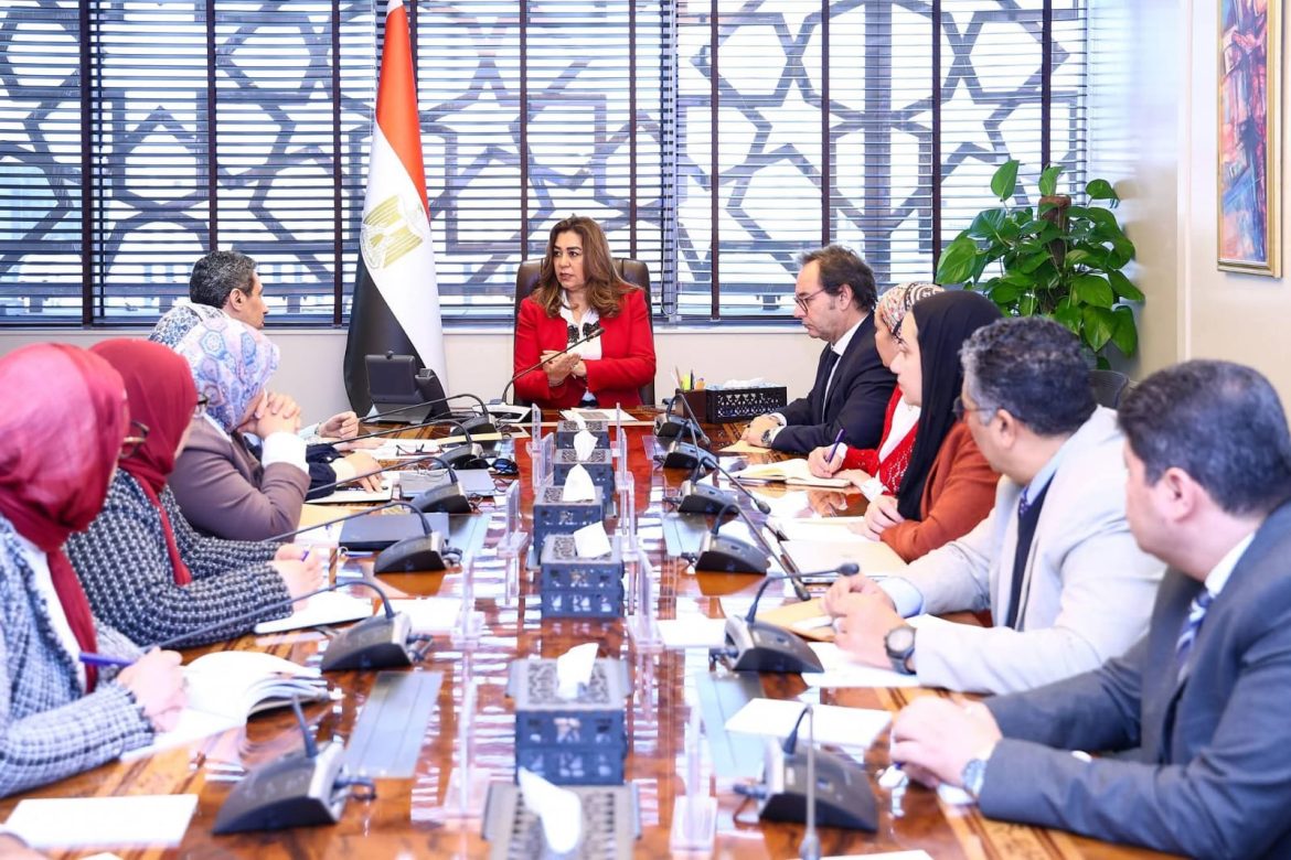 الحكومة المصرية