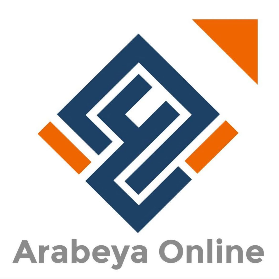 الرقابة المالية