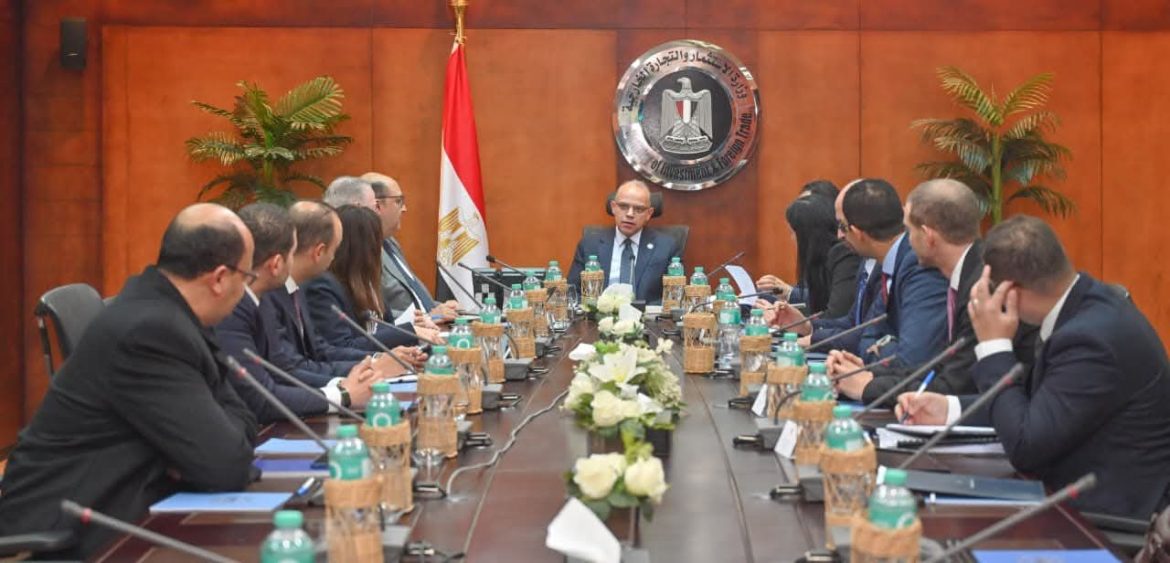 الحكومة المصرية