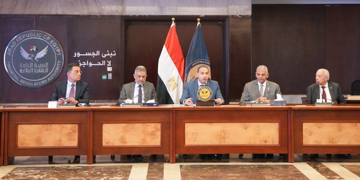 الرقابة المالية المصرية