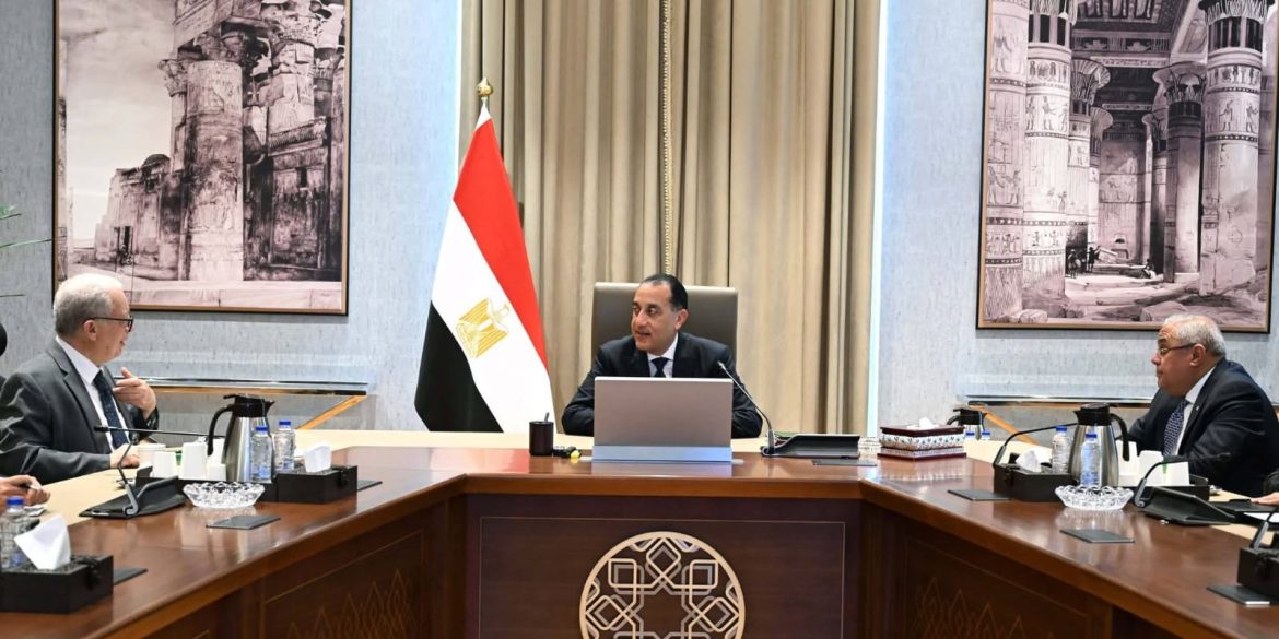 الحكومة المصرية