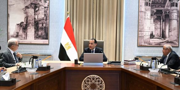 الحكومة المصرية