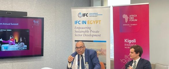 محمود محيي الدين