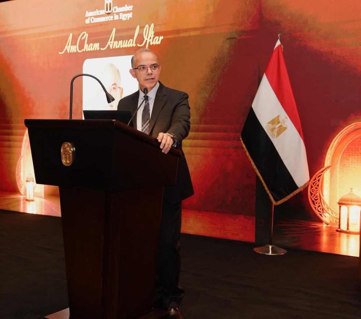 الحكومة المصرية