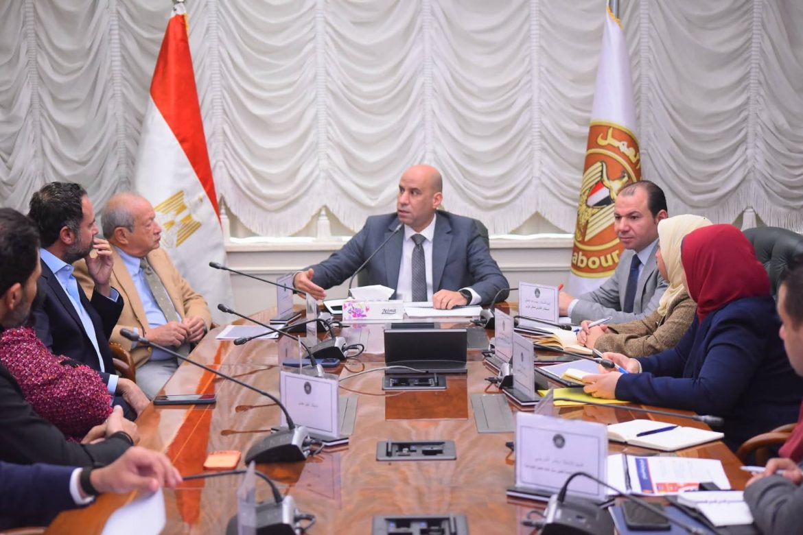 الحكومة المصرية