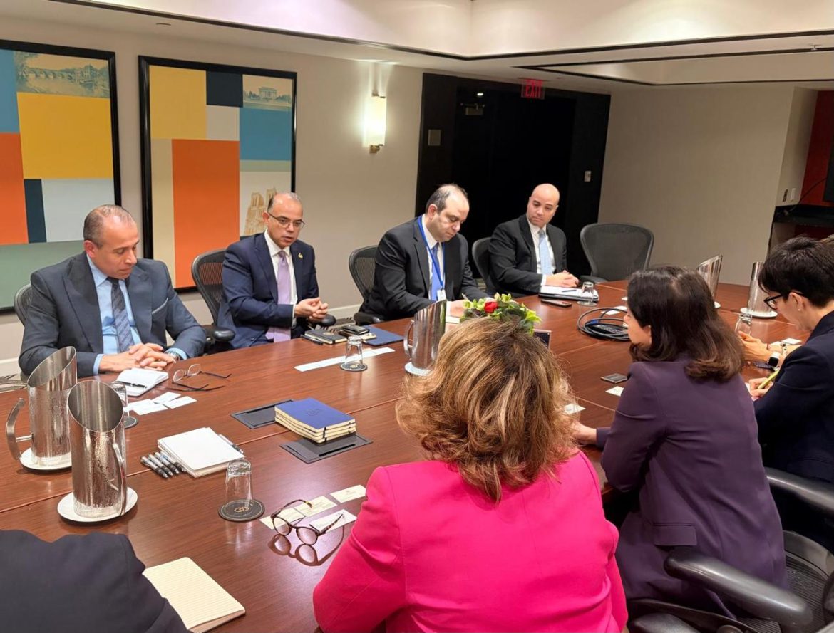 الحكومة المصرية