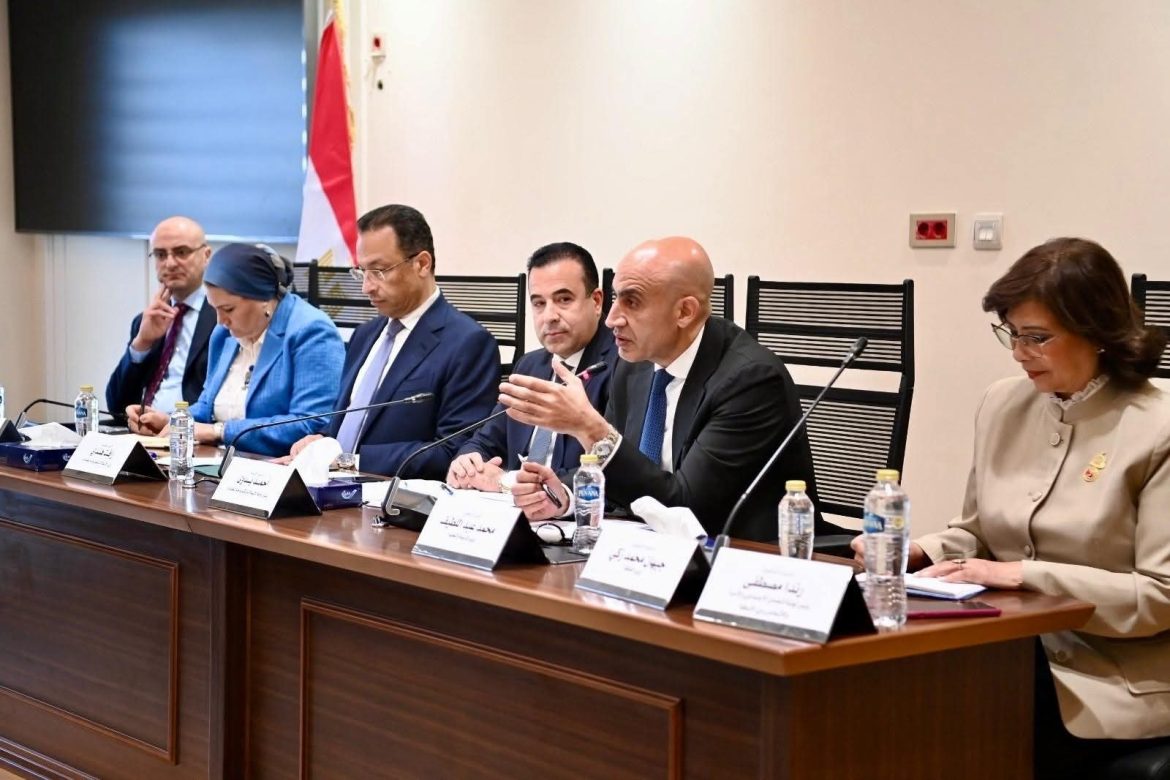 الحكومة المصرية