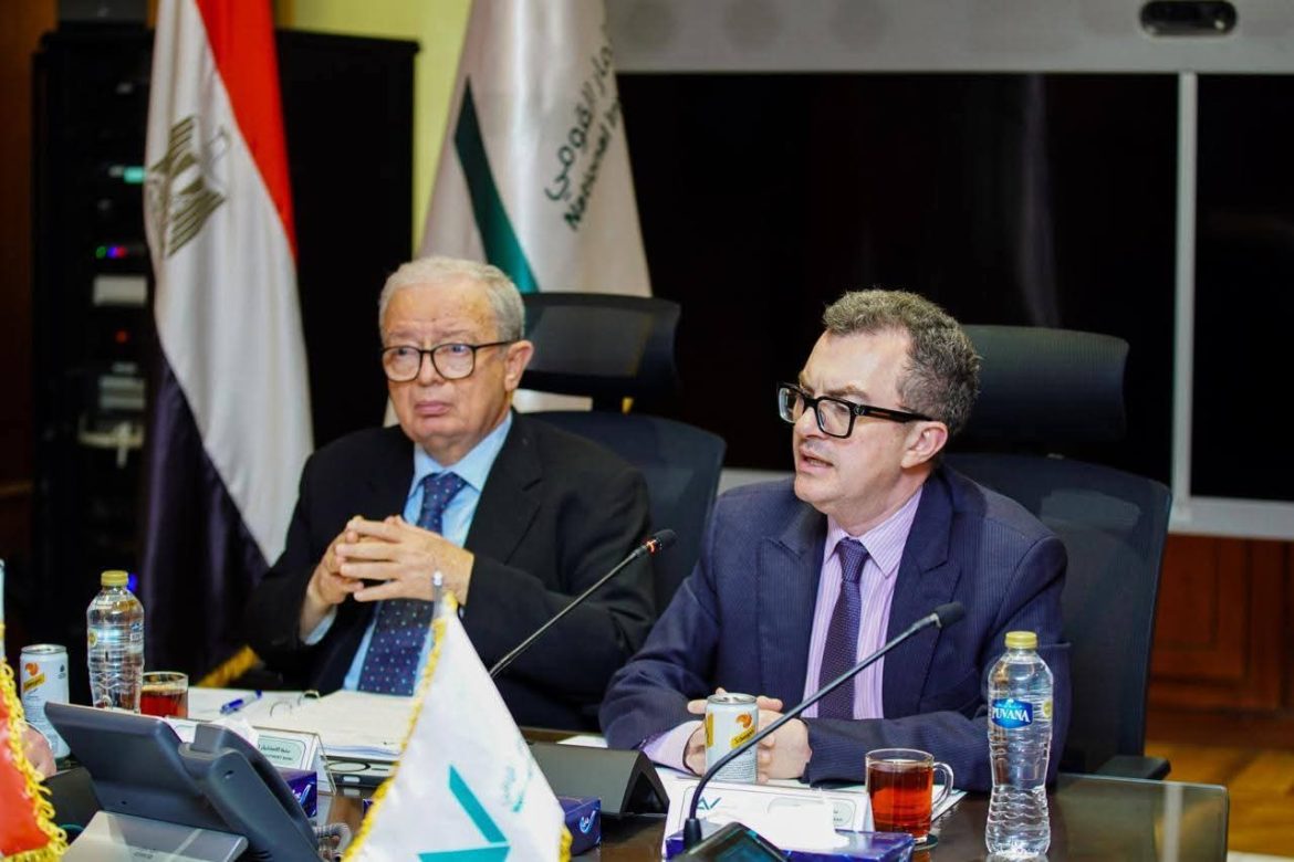 الحكومة المصرية