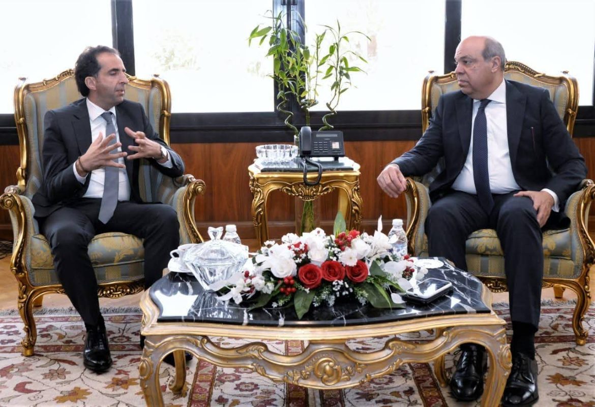 الحكومة المصرية