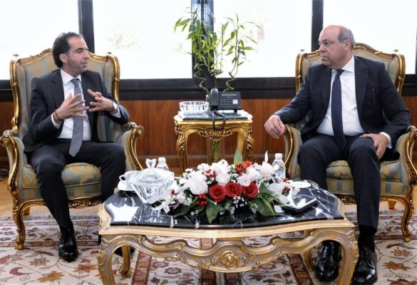 الحكومة المصرية