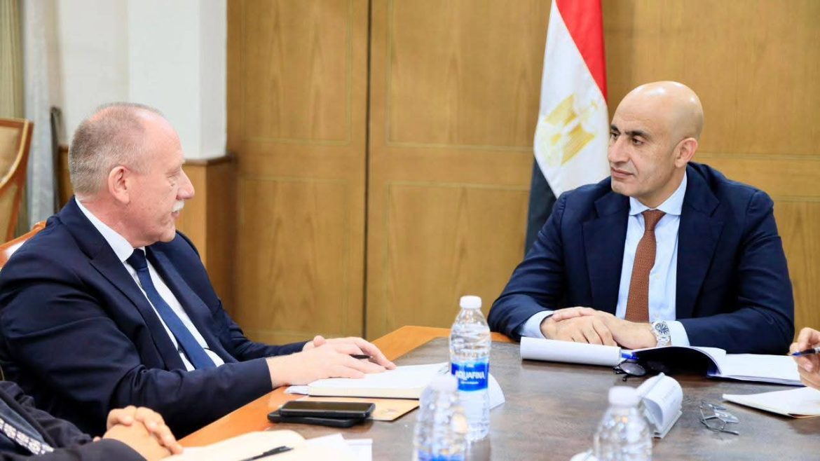 الحكومة المصرية