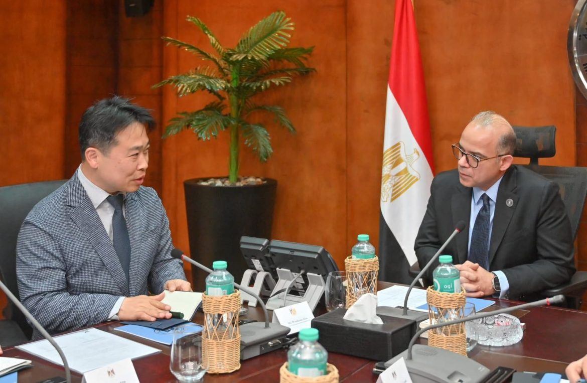 الحكومة المصرية