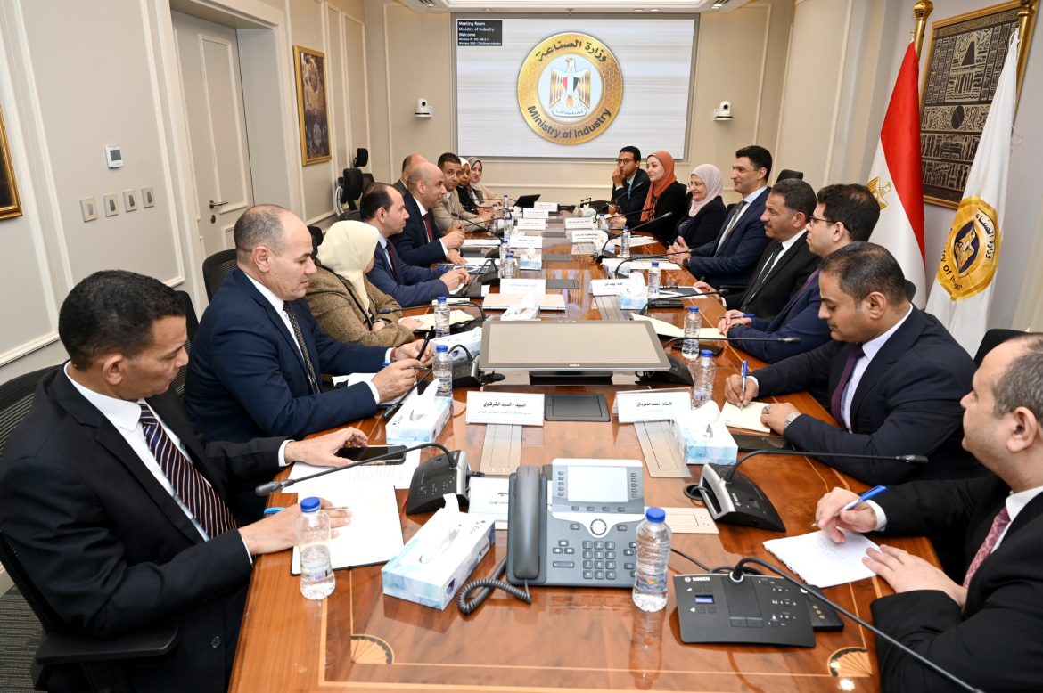 الحكومة المصرية