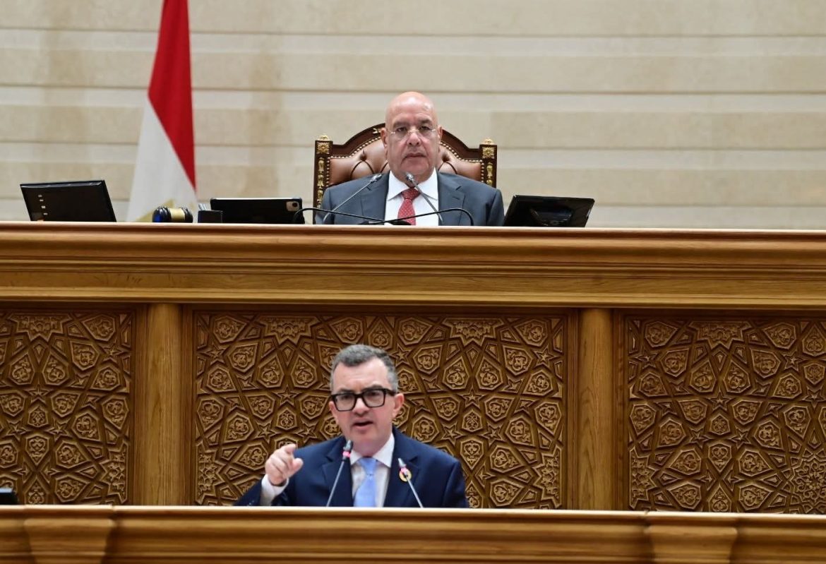 الحكومة المصرية