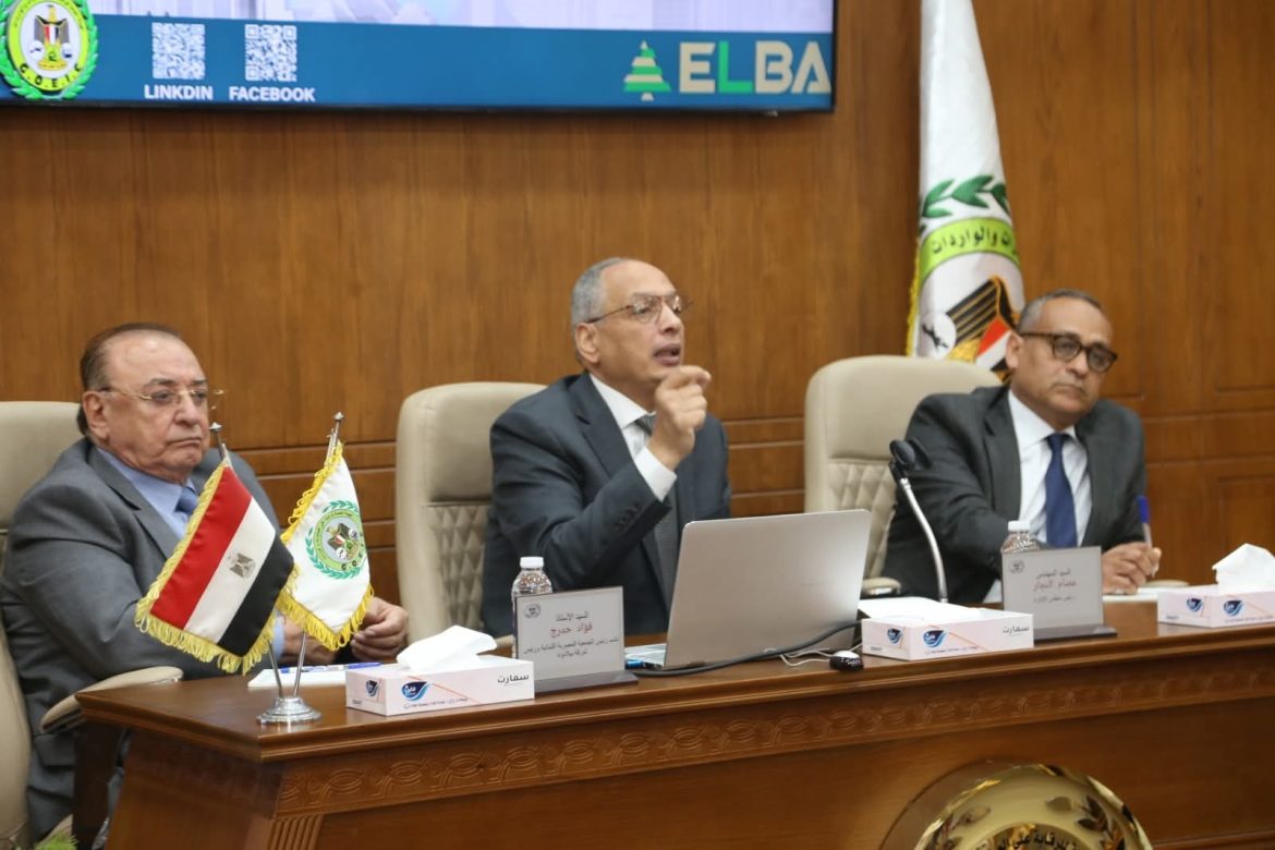 الحكومة المصرية