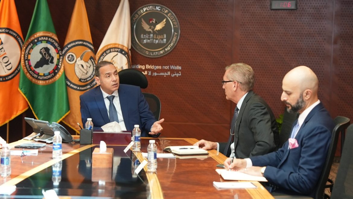 الرقابة المالية المصرية