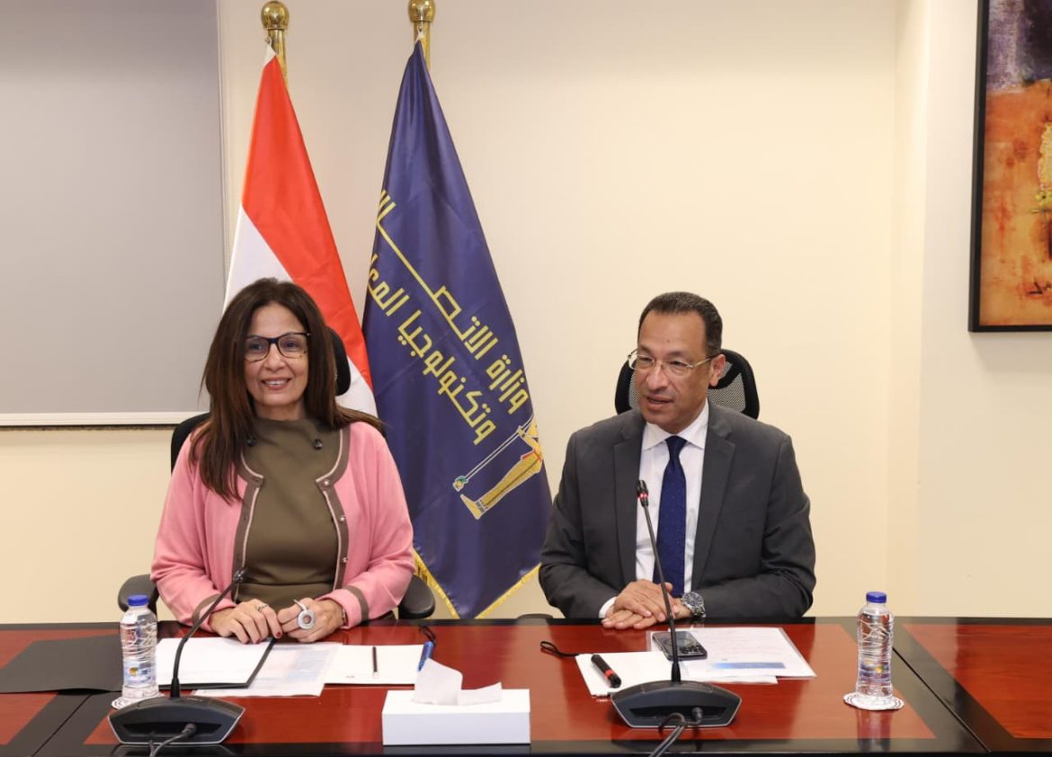 الحكومة المصرية