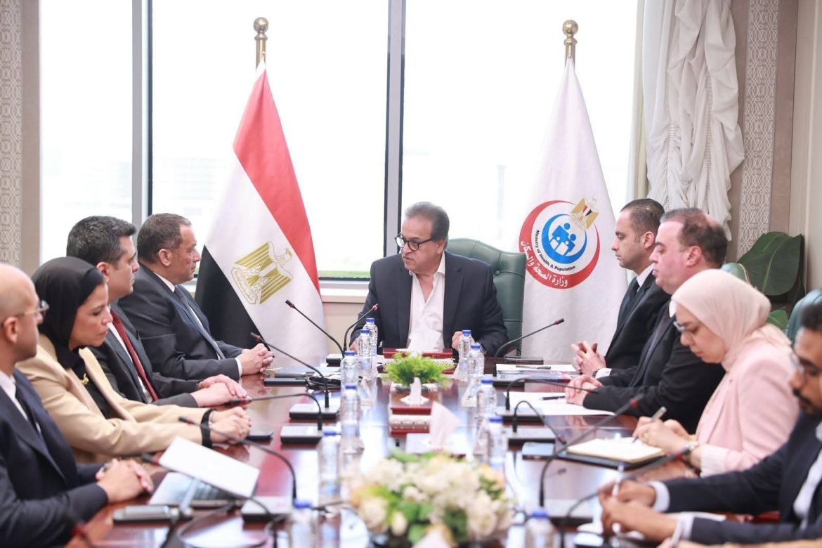 الحكومة المصرية