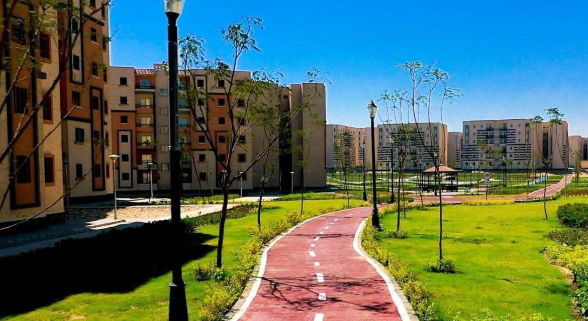 الحكومة المصرية