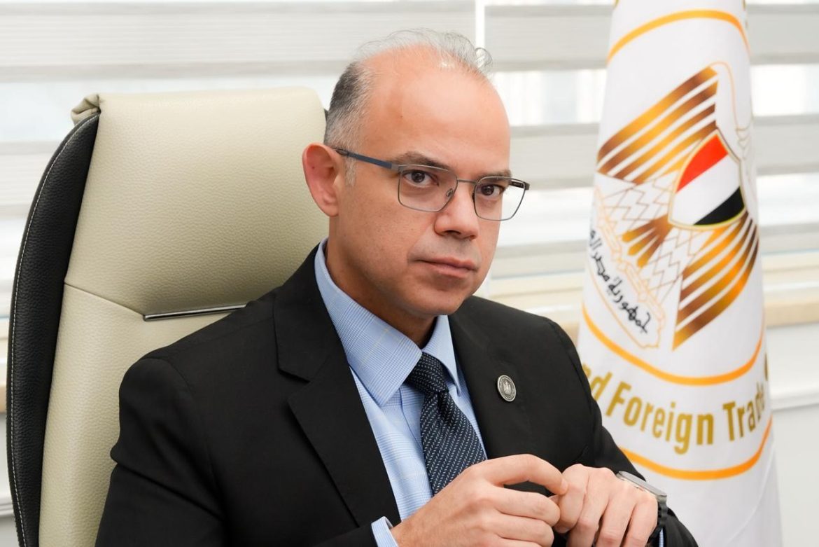 الحكومة المصرية