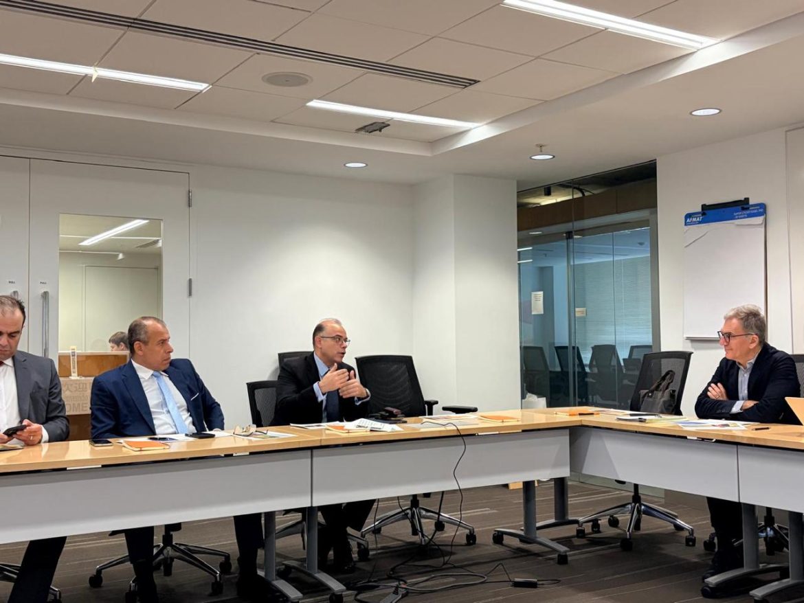 الحكومة المصرية