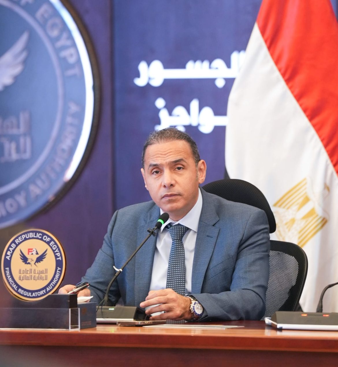 الرقابة المالية المصرية