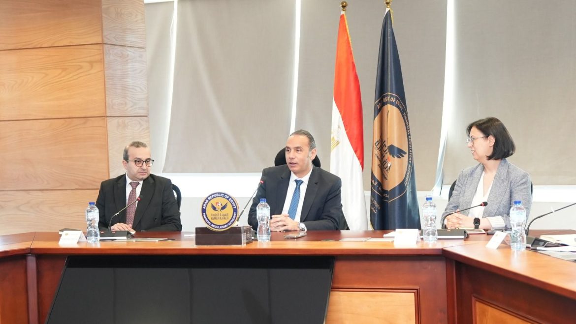 الرقابة المالية المصرية