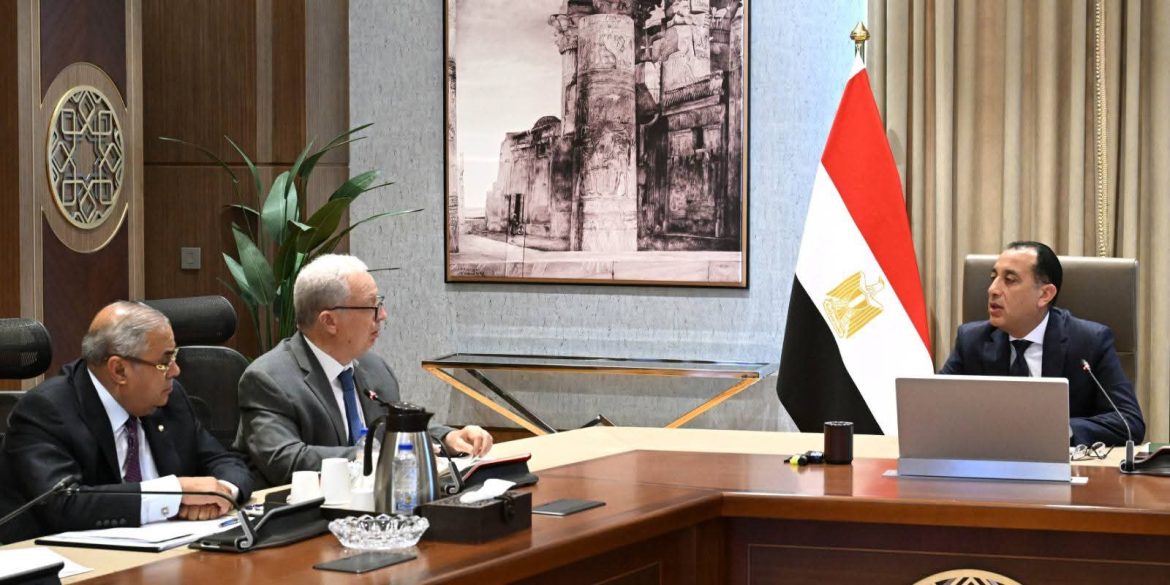الحكومة المصرية