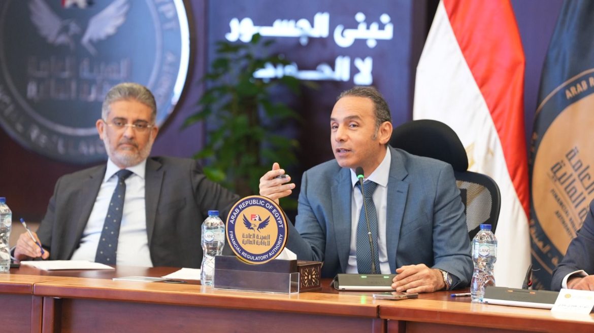 الرقابة المالية المصرية